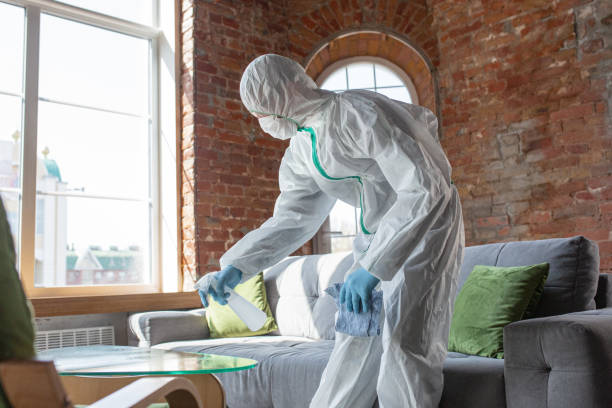 Why You Should Choose Our Mold Remediation Services in Penrose, CO